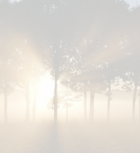Zonsopkomst, wat is nieuw vandaag